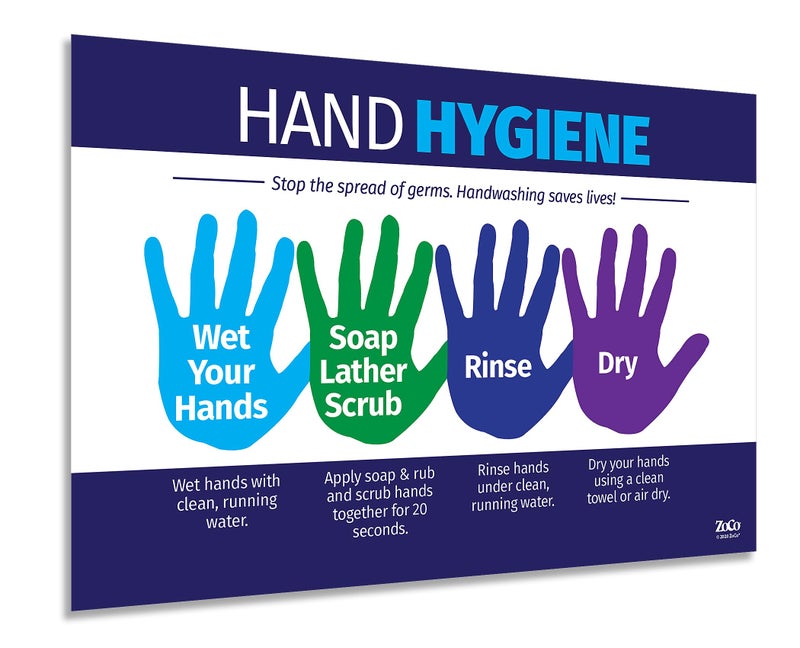ZOCO â€“ Hand Hygiene Poster â€“ Laminated 12x18 â€“ Handwashing Chart for Kids & Adults â€“ School, Workplace, Clinic, Nurse Office Decor - Image 1